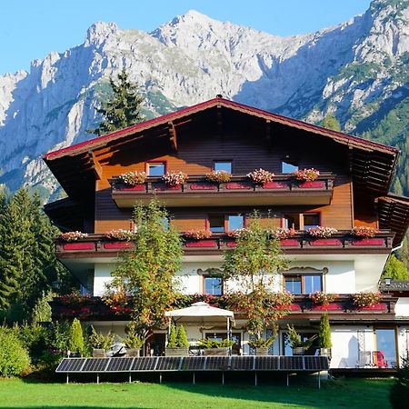 רמסאו אם דכשטיין Pension Dachsteinhof מראה חיצוני תמונה